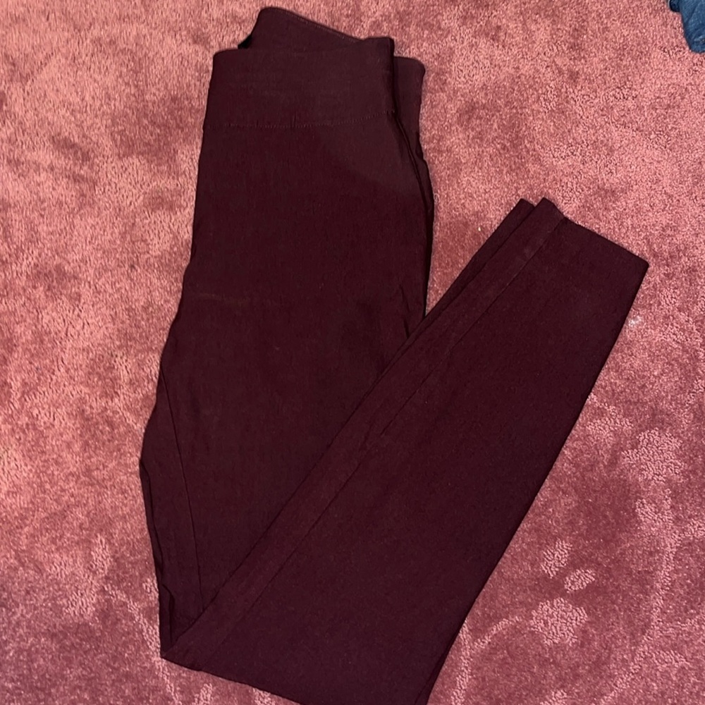 7th Avenue Design Studio New York & Company dress pants